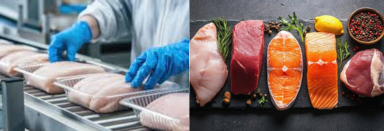 Meat & Fish