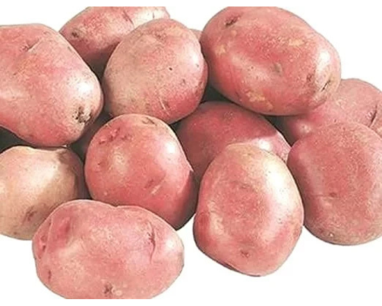 Potato-Jhau Alu ঝাউ আলু