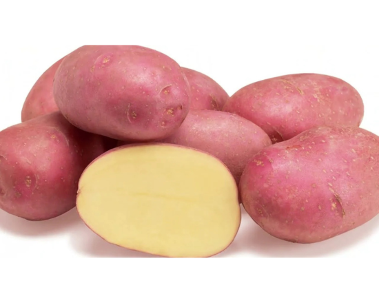 Potato Cardinal-Alu কারডিনাল আলু