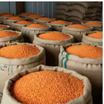 Dal
